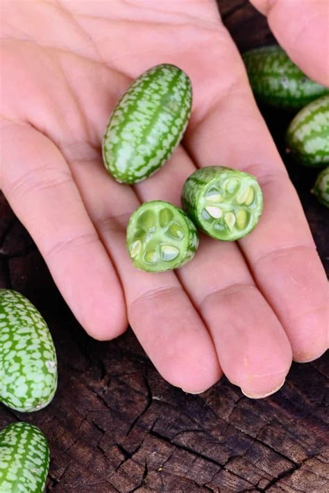 A Quick Guide To Cucamelon Berries Alphafoodie