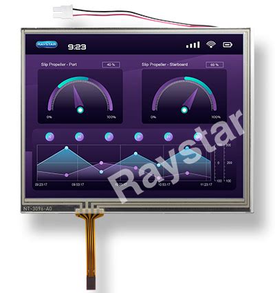 Raystar Optronics Inc