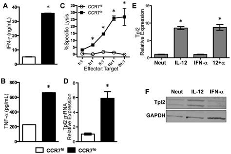 Tpl Expression Is Elevated In Human T Em Ctls Ex Vivo And Induced By