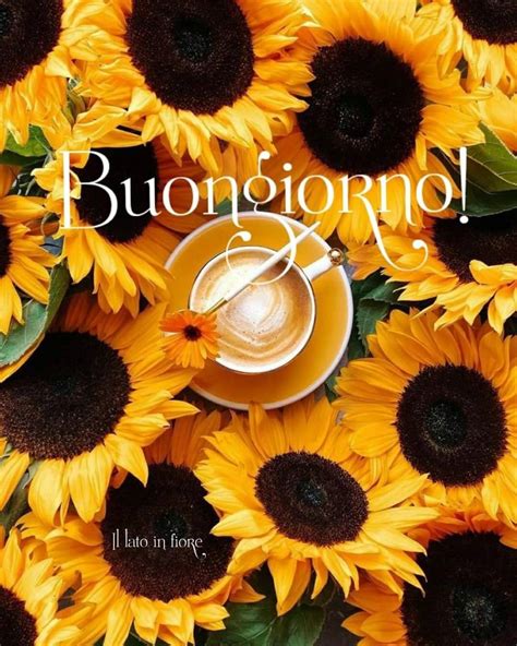 Nuove Immagini Di Buongiorno Gratis Meravigliosobuongiorno It