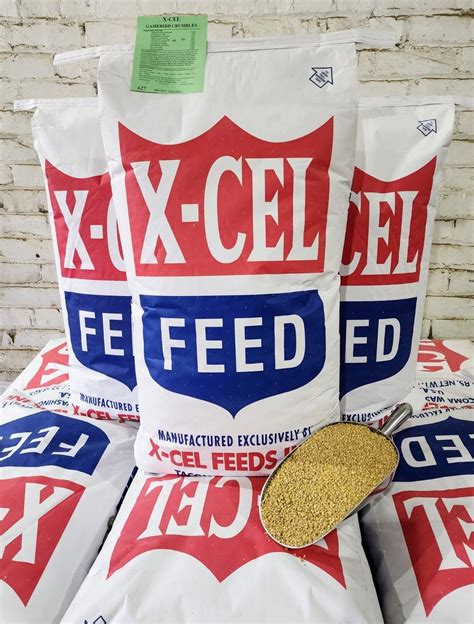 Dairy & Cattle Archives - X-CEL Feeds Inc.