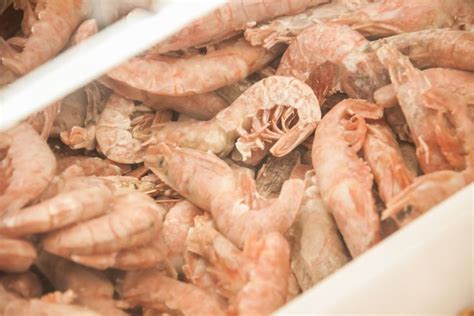 Health Benefits Of Shrimp Important To Know News Seafood Shrimps