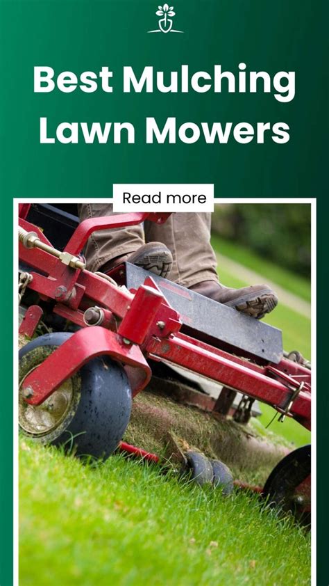 Best Mulching Riding Lawn Mower 2024 Best Neely Wenonah