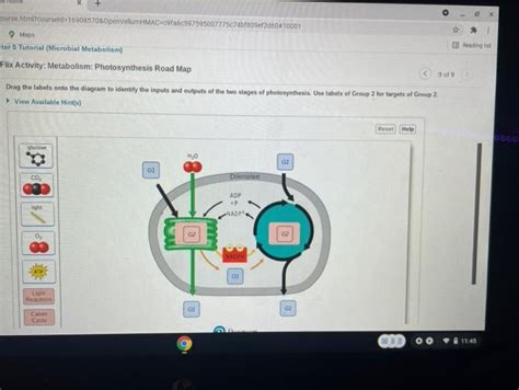 Solved O 1775c7d189ef2d600 10001 Ourse 1 Answer Transtutors