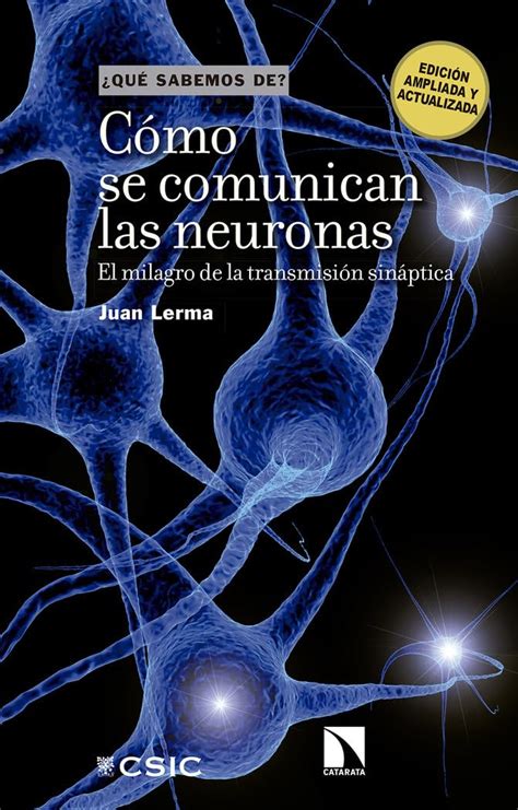 Cómo Se Comunican Las Neuronas El Milagro De La Transmisión Sináptica 146 Br