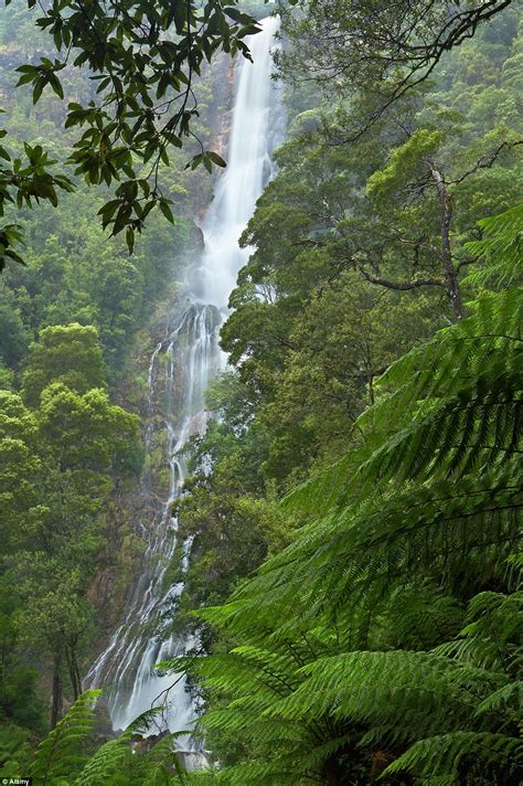 How Tasmania Became Australias Only Destination In Lonely Planets Top