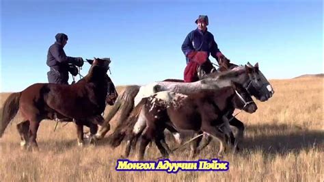 Дарьганга адууны орон - YouTube