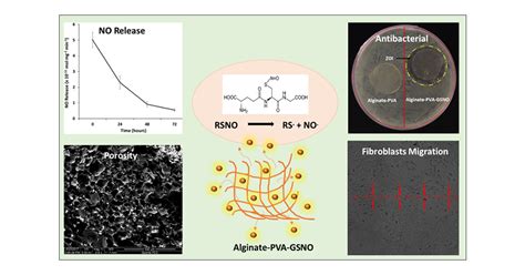 Antibacterial And Cellular Response Toward A Gasotransmitter Based