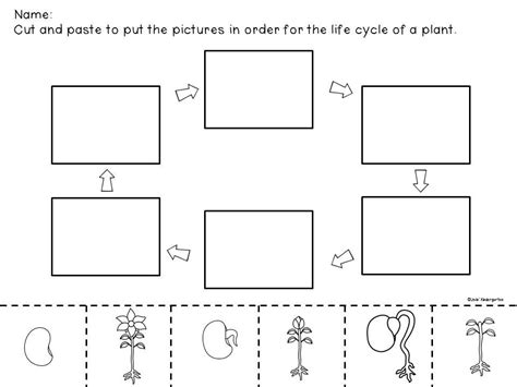 Life Cycle Of A Plant Ela Science And Anchor Charts Life Cycles