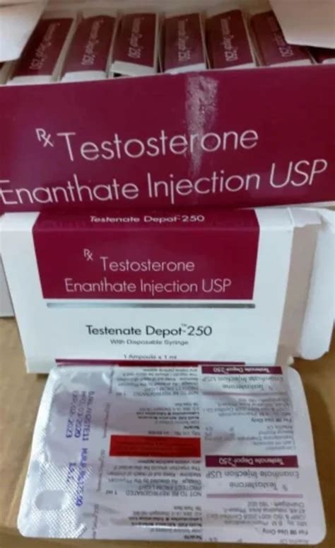 Mg Testosterone Enanthate Injection Usp Packaging Size Ampoule