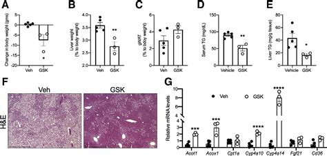 Figure 6 From Hypoxia Via Erk Signaling Inhibits Hepatic Pparα To