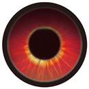 Elsa Babe 平野 凛 165cm高級シリコン製ラブドール良乳美しい特殊部隊のキャプテン