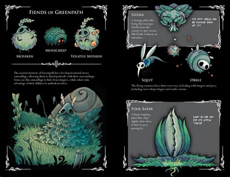 Hollow knight journal