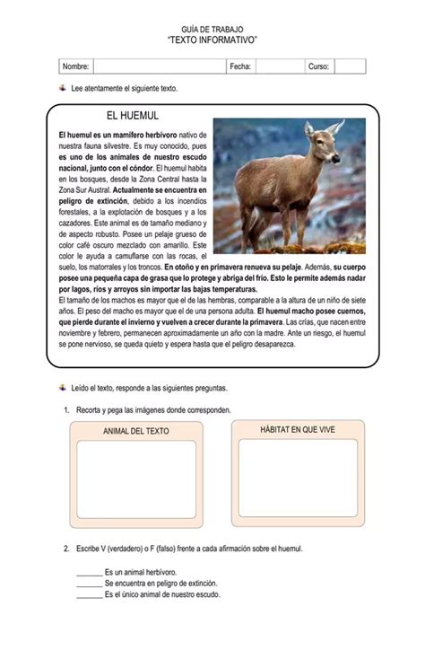 TEXTO INFORMATIVO EL HUEMUL Profe Social