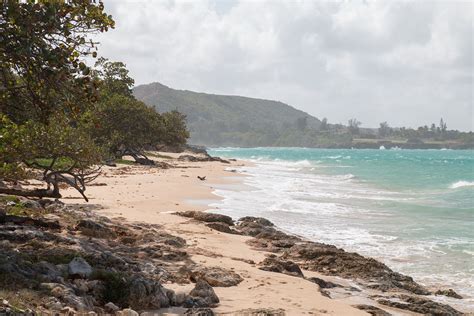 Photo by Shutterstock Jibacoa, along Cuba’s northern coastline, is a ...