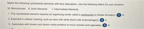 Solved Match the following cytoskeletal elements with their | Chegg.com 