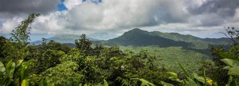 Martinique Volcano Stock Photos, Pictures & Royalty-Free Images - iStock