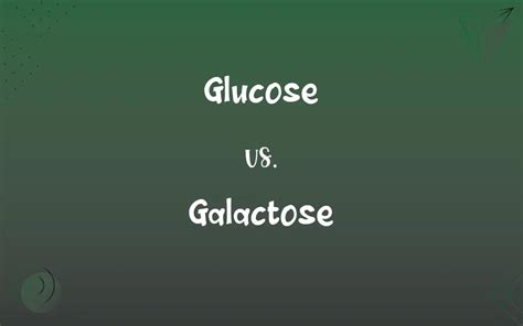 Glucose vs. Galactose: What’s the Difference?