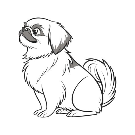 Pekingese Dog on White Background 58115928 Vector Art at Vecteezy