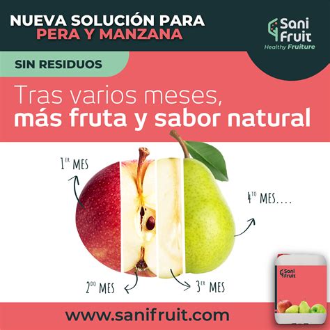 Sanifruit Presenta Su Nuevo Tratamiento Postcosecha Sin Residuos