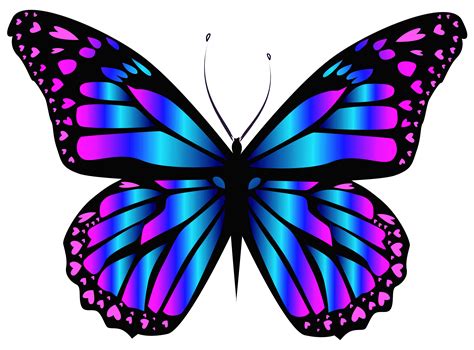 clip art of butterfly 3