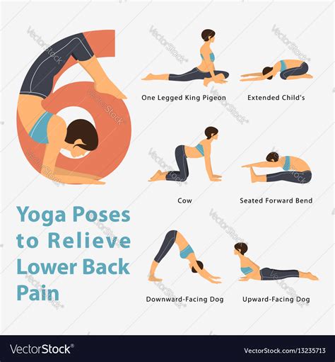 Infographic Yoga Poses To Relieve Lower Back Pain Vector Image