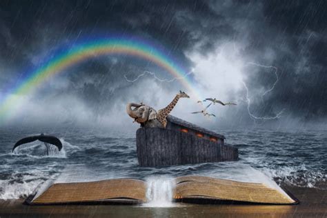 Download Free 100 Noahs Ark Wallpapers