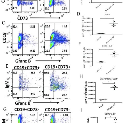 Kinetics Of The Expansion Of Cd19 B Cells Expressing Cd80 Pd L2 And