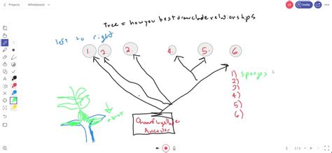 solvedlabel  branches   diagram