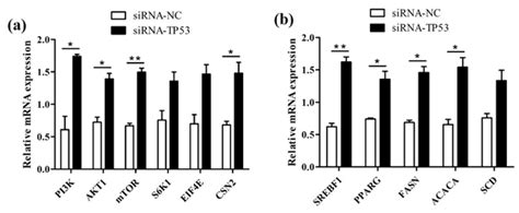 Aab Molecular Characterization Function Tissue Differential