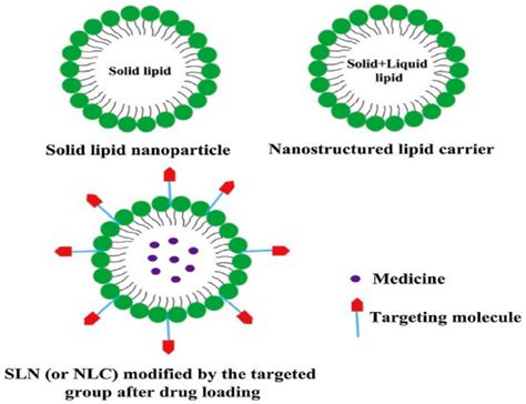 Surface Modification Of Solid Lipid Nanoparticle Modified Sln After