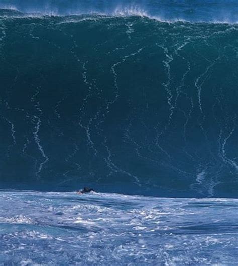 Giant Wave Captured On The Island Of Madeira