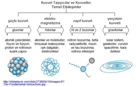 Prof Dr Bilsen Beşergil Dört Temel Kuvvet four fundamental