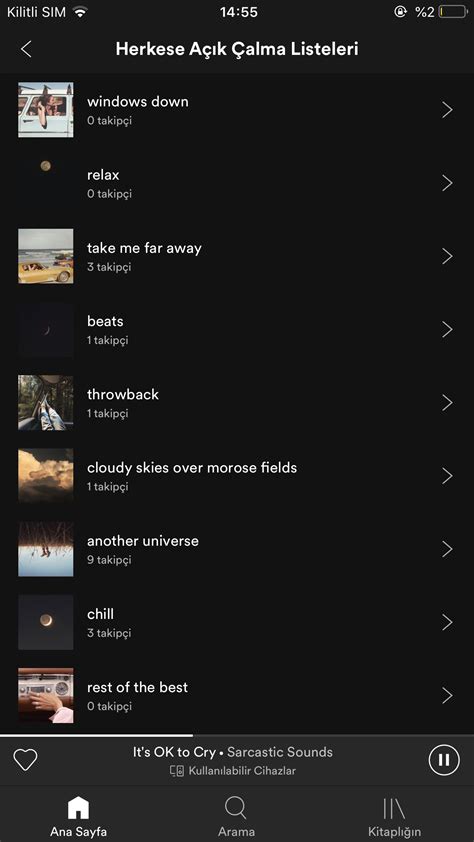 Aesthetic Cool Spotify Playlist Names