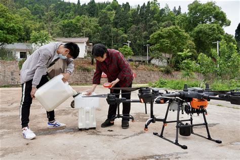 天穗农业：植保无人机进行越冬代害虫防治 助力船山林业生态安全腾讯新闻