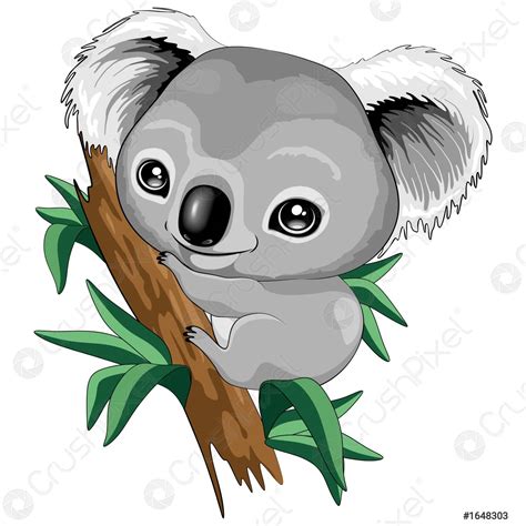 Cute Cartoon Baby Koala