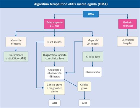 Infecciones de vías respiratorias altas 2 otitis media etiología