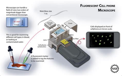 Cell Phone Microscope – Level Five Graphics