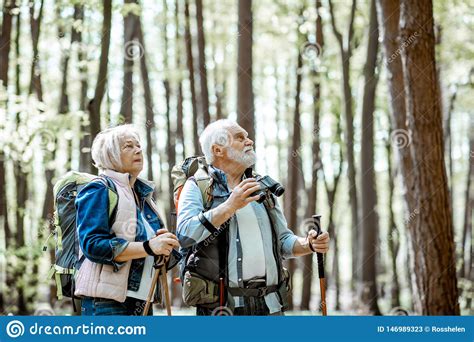 Senior Couple Hiking In The Forest Stock Image Image Of Hike Nature