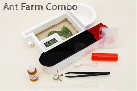 Ant Farm Kit Combo All-in-One Live Queen Ant Nest