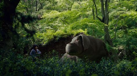 Okja (2017) Trailer on MUBI