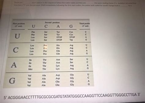 Solved codon in the sequence below the codon table and they | Chegg.com