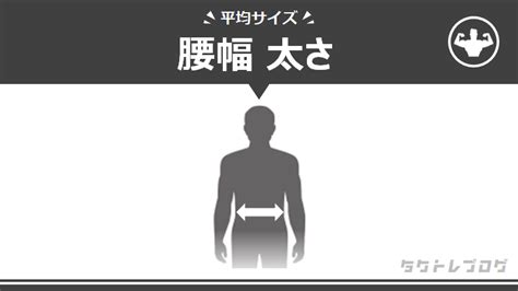 腰幅は平均で何cm？性別 年代別の細い～太いの9段階目安も タクトレブログ