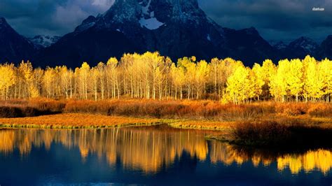 Aspen Wallpapers Wallpaper Cave