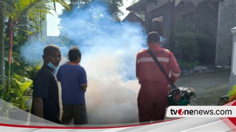 Kasus DBD Di Klaten Terus Meningkat Catat 14 Kematian