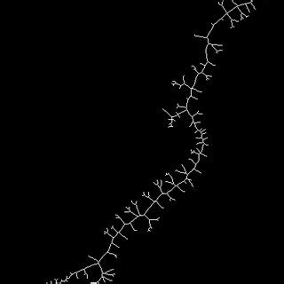 Different stages in the skeletonization process. (a) We start from ...