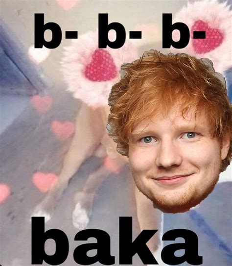 Baka Ed Sheeran Ed Sheeran Memes Ed Sheeran Really Funny