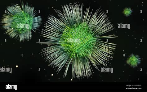 Mimivirus Est Un Genre De Virus Géants Dans La Famille Des Mimiviridae Une Seule Espèce