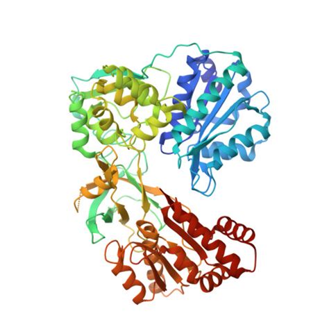 Gene P Protein Por Overview Cansar Ai