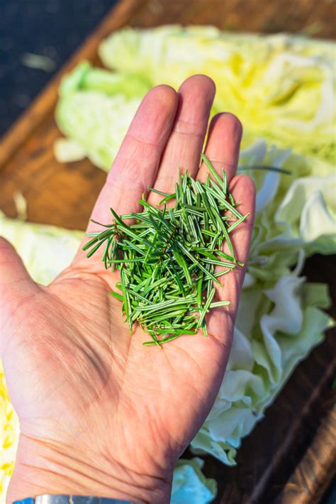 Perfekter Ofen Spitzkohl Mit Kartoffeln Und Tannennadeln